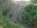 Landersdorf nach Unwetter_3