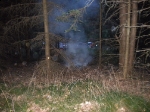 Brand eines Ameisenhaufen_1