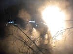 Brand eines Ameisenhaufen_4