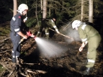 Brand eines Ameisenhaufen_6