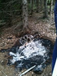 Flurbrand im Wald_2