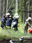 Waldbrandübung in Obritzberg_2